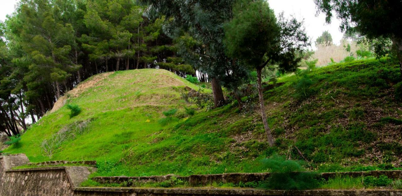 Antica Akragante Apartment Agrigento Con Parcheggio المظهر الخارجي الصورة